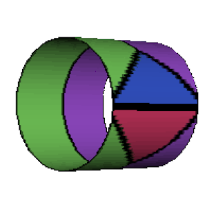 Cell wrapped to form a torus